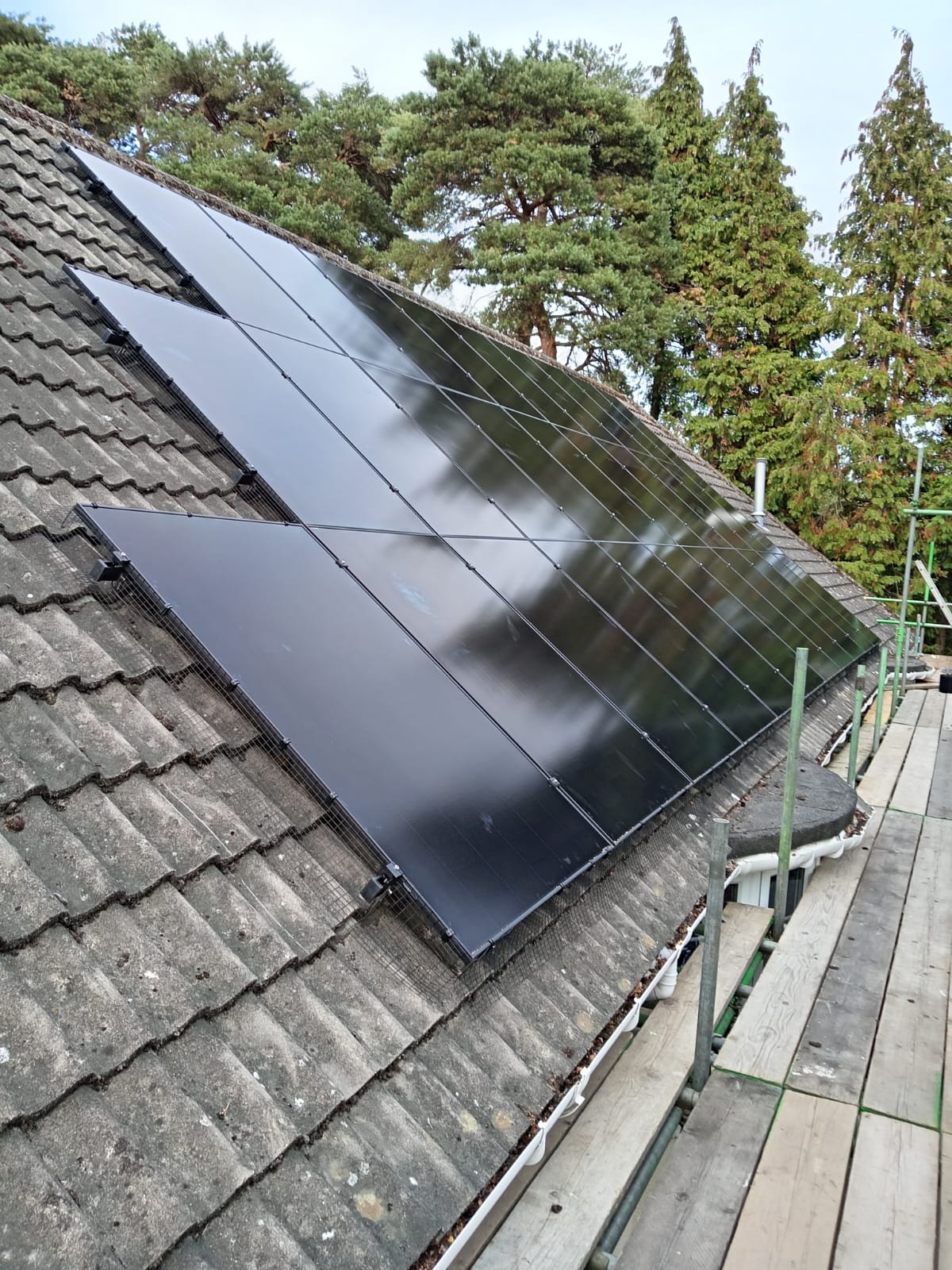 whatsapp image 2025 09 11 at 16.34.17 (1)